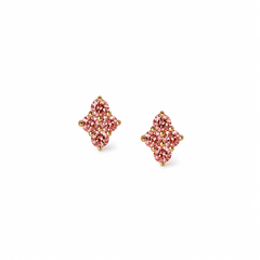 Le Quotidien Morganite Studs