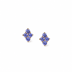 Le Quotidien Tanzanite Studs