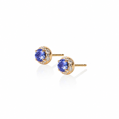 Tanzanite Brioche Ear Studs